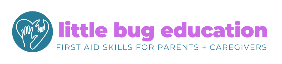 Little Bug Education